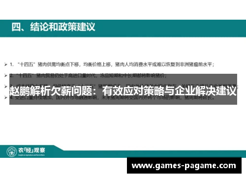 赵鹏解析欠薪问题:有效应对策略与企业解决建议 赵鹏解析欠薪问题:有效应对策略与企业解决建议