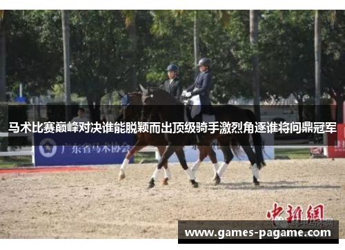 马术比赛巅峰对决谁能脱颖而出顶级骑手激烈角逐谁将问鼎冠军 马术比赛巅峰对决谁能脱颖而出顶级骑手激烈角逐谁将问鼎冠军